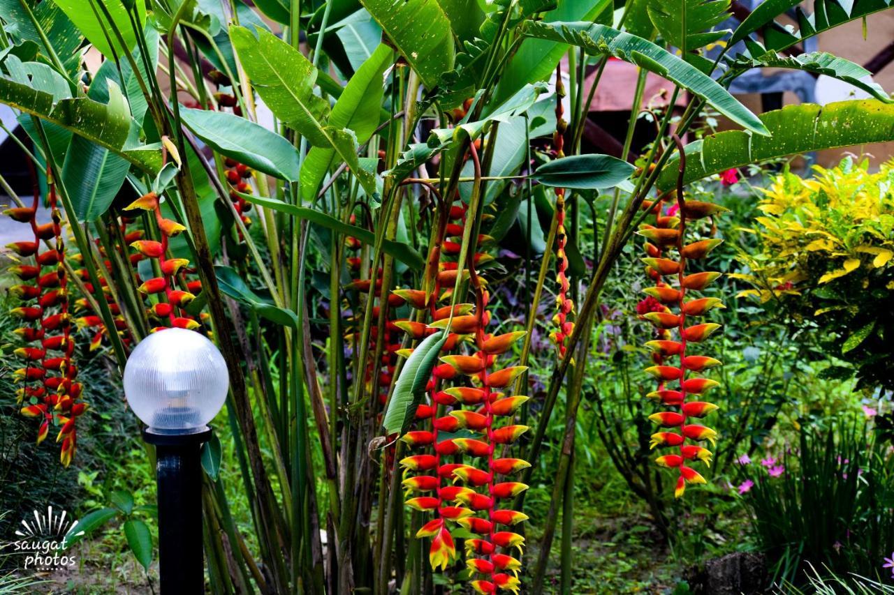 Bardia Wildlife Resort Bardiya Экстерьер фото
