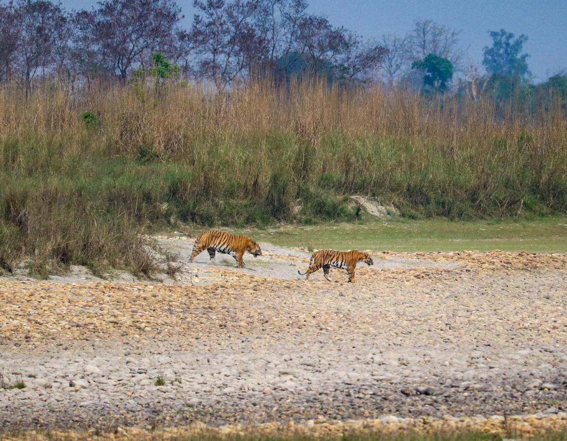 Bardia Wildlife Resort Bardiya Экстерьер фото