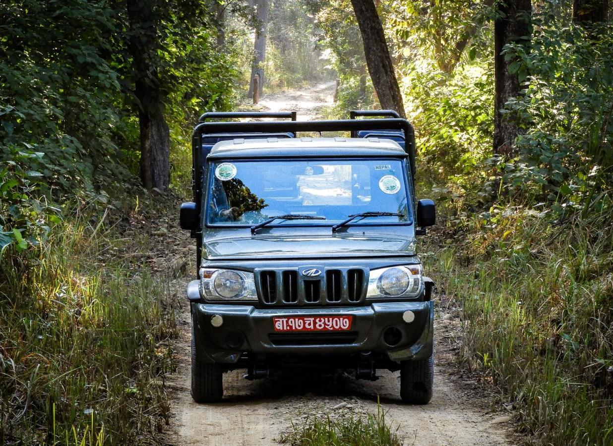 Bardia Wildlife Resort Bardiya Экстерьер фото