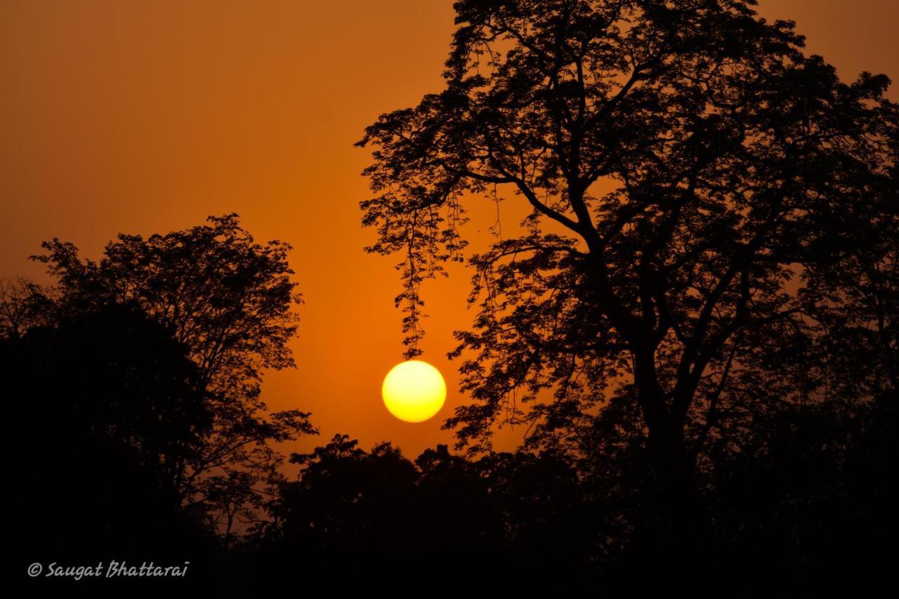 Bardia Wildlife Resort Bardiya Экстерьер фото