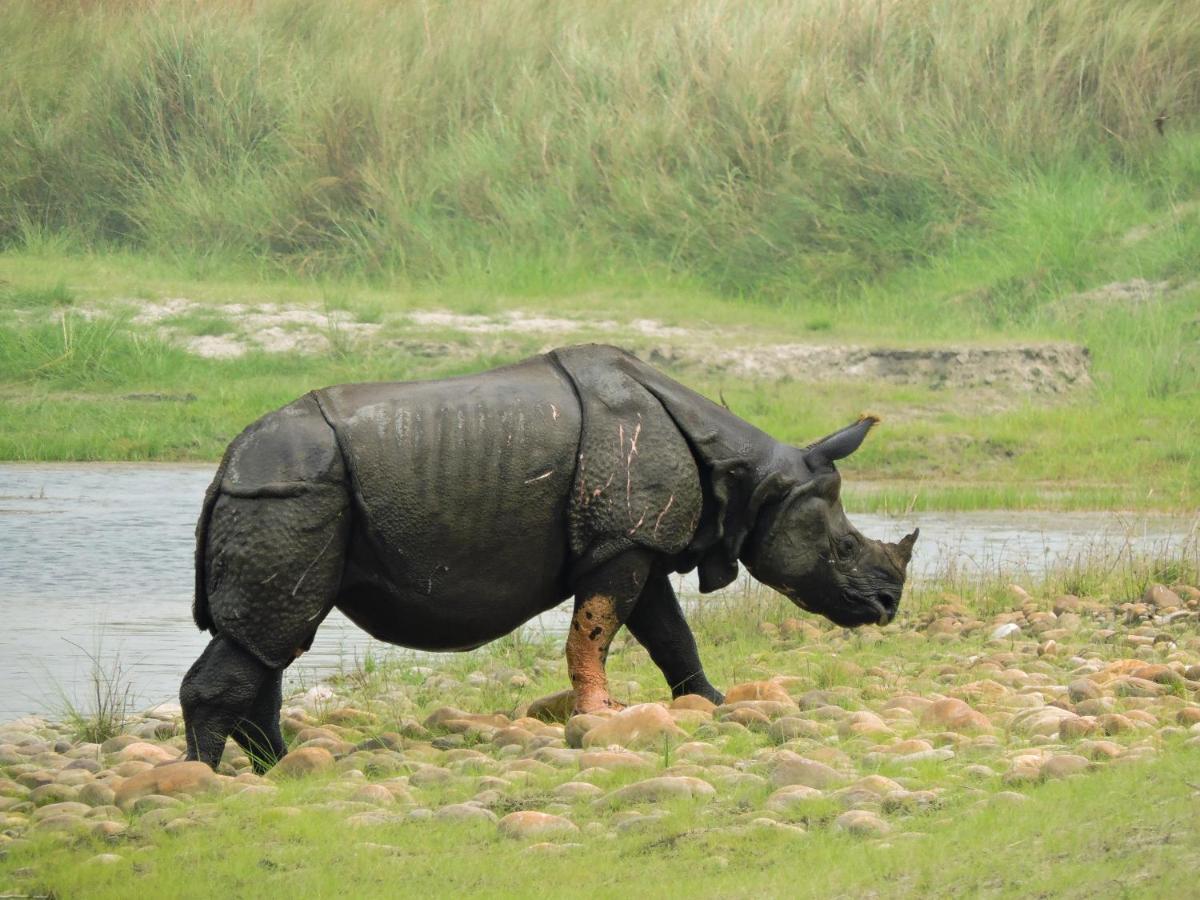 Bardia Wildlife Resort Bardiya Экстерьер фото